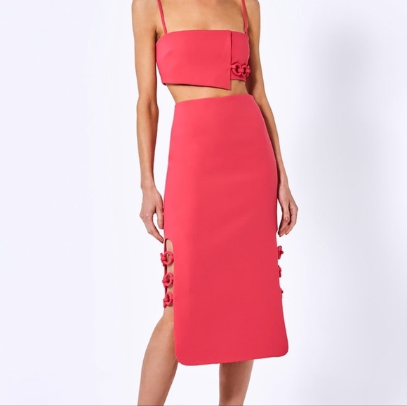 Alexis Villette Skirt in Pink size S NWT - Picture 1 of 8